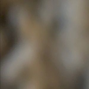 Meet your Posher, Brady